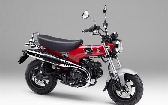 Neufahrzeug Honda Dax 125 - Bild 15 Neufahrzeug Honda Dax 125 - Bild 15