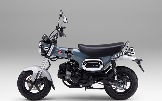 Neufahrzeug Honda Dax 125 - Bild 5 Neufahrzeug Honda Dax 125 - Bild 5