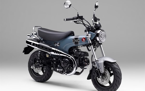 Neufahrzeug Honda Dax 125 - Bild 8 Neufahrzeug Honda Dax 125 - Bild 8