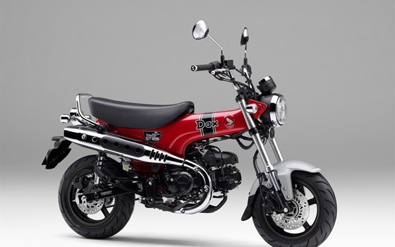 Neufahrzeug Honda Dax 125 - Bild 14 Neufahrzeug Honda Dax 125 - Bild 14