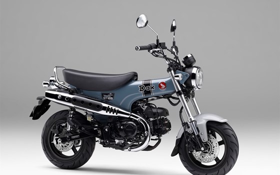 Neufahrzeug Honda Dax 125 - Bild 9 Neufahrzeug Honda Dax 125 - Bild 9