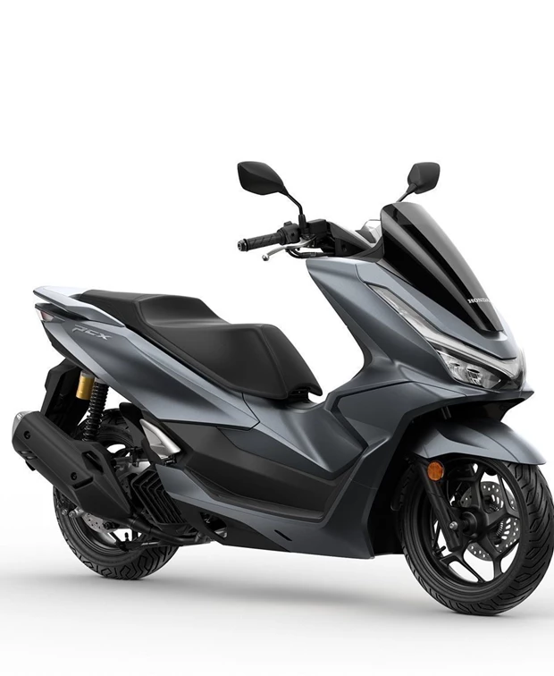 Honda PCX125 DX