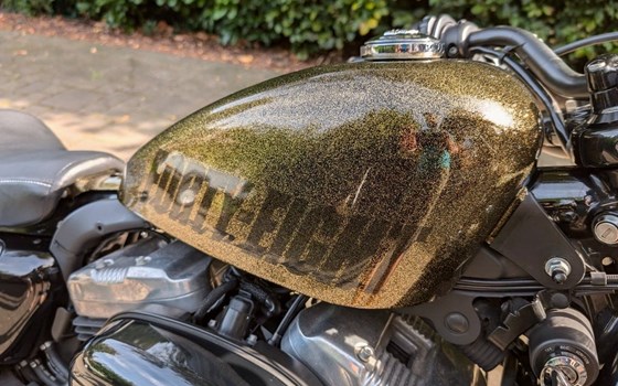 Gebrauchtmotorrad Harley-Davidson Sportster XL 1200X Forty-Eight - Bild 3