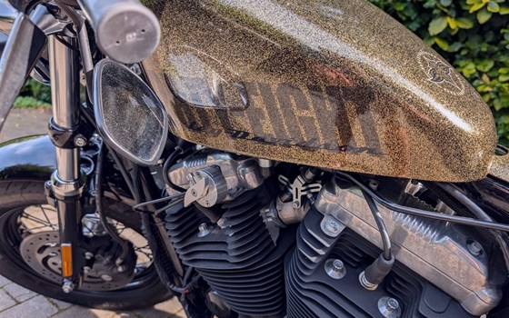 Gebrauchtmotorrad Harley-Davidson Sportster XL 1200X Forty-Eight - Bild 6