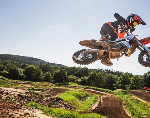 zum Vergrössern bitte anklicken!