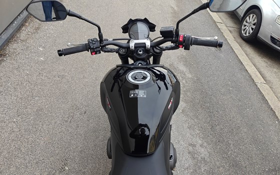 Neufahrzeug Triumph Trident 800 - Bild 6