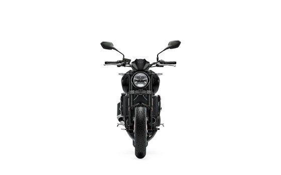 Neufahrzeug Triumph Trident 800 - Bild 3 Neufahrzeug Triumph Trident 800 - Bild 3