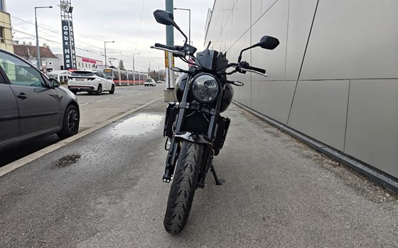 Neufahrzeug Triumph Trident 800 - Bild 3