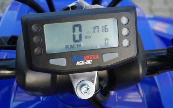 Gebrauchtmotorrad Yamaha YFM 700 R - Bild 10