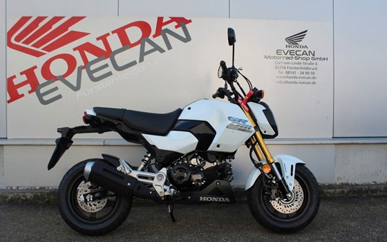 Neufahrzeug Honda MSX 125 - Bild 1