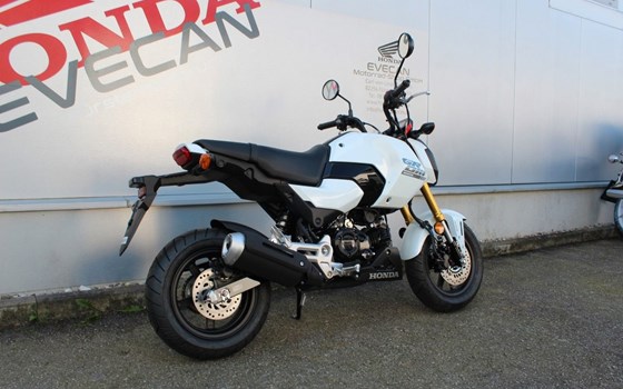 Neufahrzeug Honda MSX 125 - Bild 3