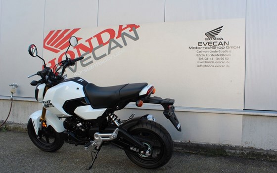 Neufahrzeug Honda MSX 125 - Bild 4