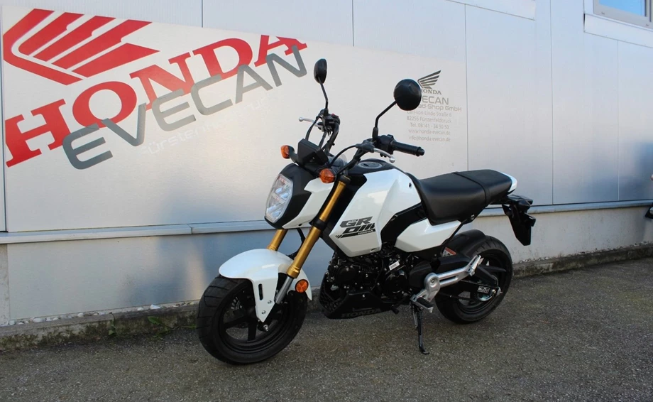Offer Honda MSX 125 Bild 5: Offer Honda MSX 125
