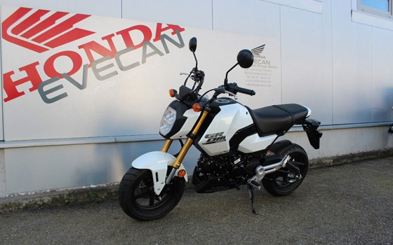 Neufahrzeug Honda MSX 125 - Bild 5