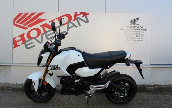 Neufahrzeug Honda MSX 125 - Bild 6