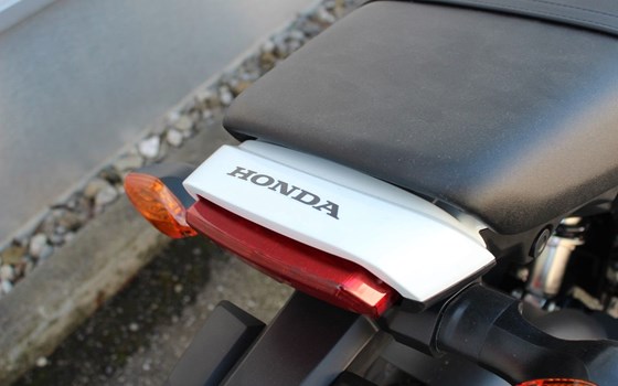 Neufahrzeug Honda MSX 125 - Bild 9