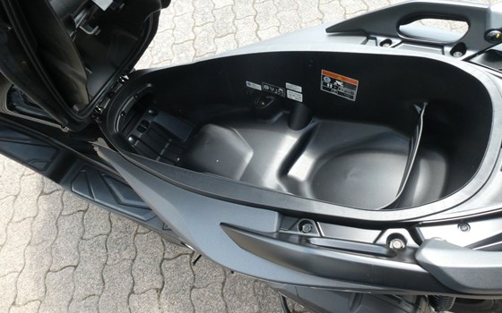 Neufahrzeug Honda Forza 125 - Bild 11