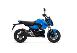 Neumotorrad Honda MSX125 Grom