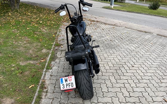 Gebrauchtmotorrad Harley-Davidson Softail Street Bob FXBB - Bild 10 Gebrauchtmotorrad Harley-Davidson Softail Street Bob FXBB - Bild 10