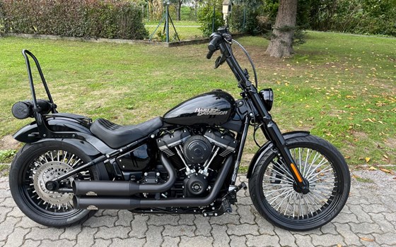 Gebrauchtmotorrad Harley-Davidson Softail Street Bob FXBB - Bild 3 Gebrauchtmotorrad Harley-Davidson Softail Street Bob FXBB - Bild 3