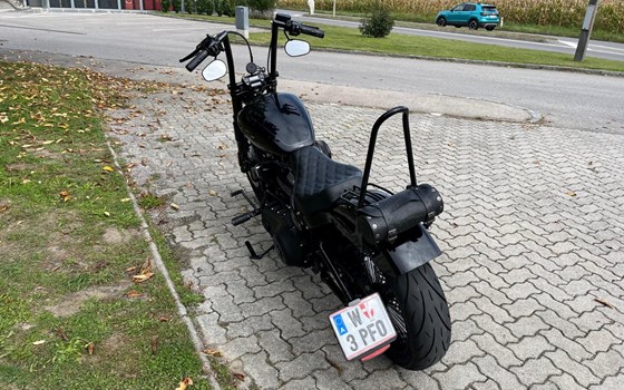 Gebrauchtmotorrad Harley-Davidson Softail Street Bob FXBB - Bild 8 Gebrauchtmotorrad Harley-Davidson Softail Street Bob FXBB - Bild 8