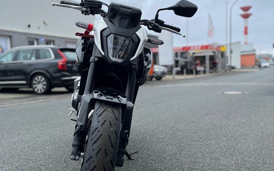 Neufahrzeug Honda CB500 Hornet - Bild 3