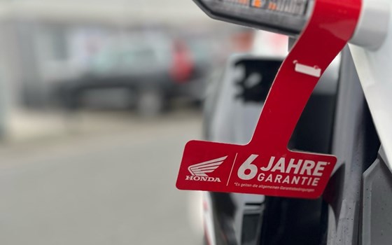 Neufahrzeug Honda CB500 Hornet - Bild 6