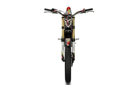 Neufahrzeug TRS One 300 RR Raga Racing - Bild 8 Neufahrzeug TRS One 300 RR Raga Racing - Bild 8