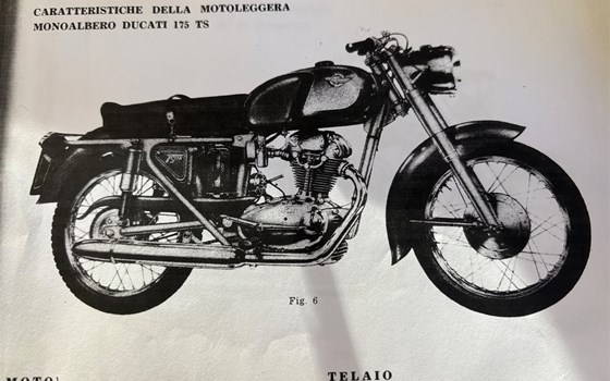 Gebrauchtmotorrad Ducati 175 S - Bild 4