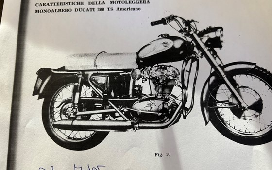 Gebrauchtmotorrad Ducati 175 S - Bild 3