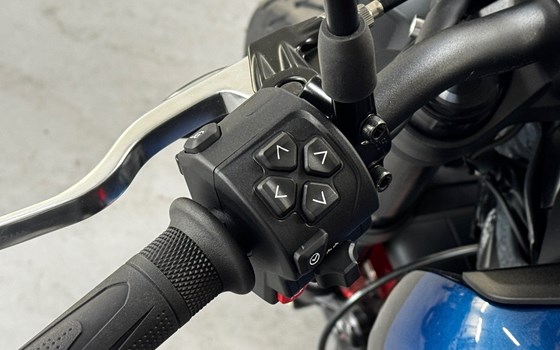 Neufahrzeug Triumph Trident 660 Triple Tribute - Bild 12