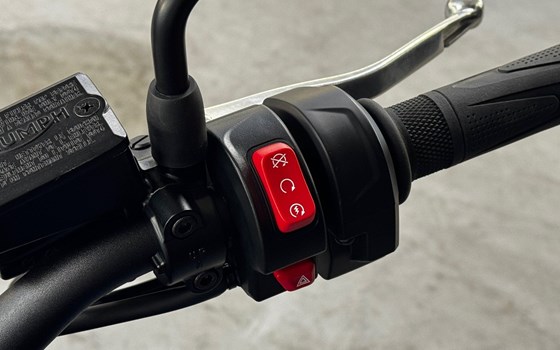 Neufahrzeug Triumph Trident 660 Triple Tribute - Bild 13