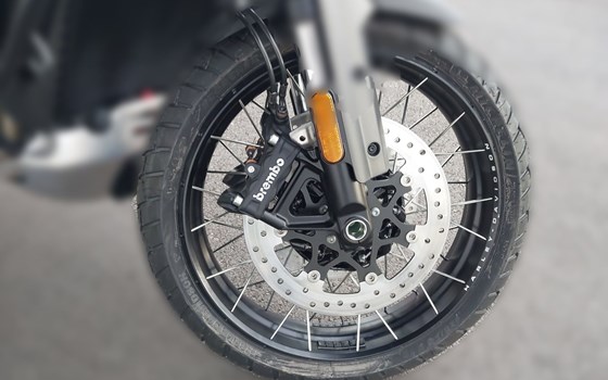 Neufahrzeug Harley-Davidson Pan America 1250 ST - Bild 6