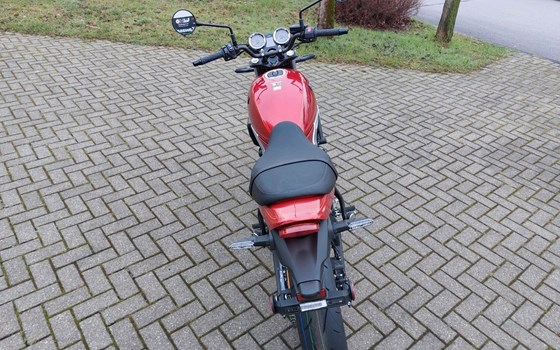 Neufahrzeug Kawasaki Z650 RS - Bild 11