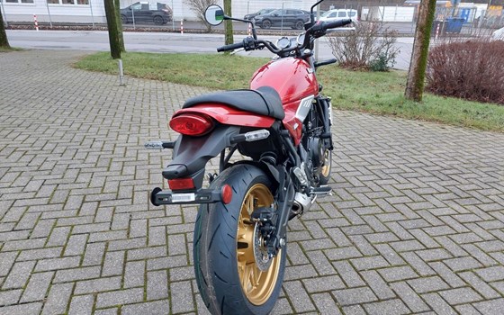 Neufahrzeug Kawasaki Z650 RS - Bild 9