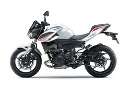 Neumotorrad Kawasaki Z 400