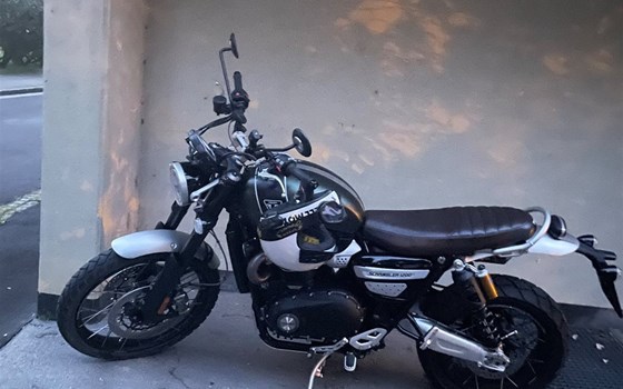 Gebrauchtmotorrad Triumph Scrambler 1200 XC - Bild 2