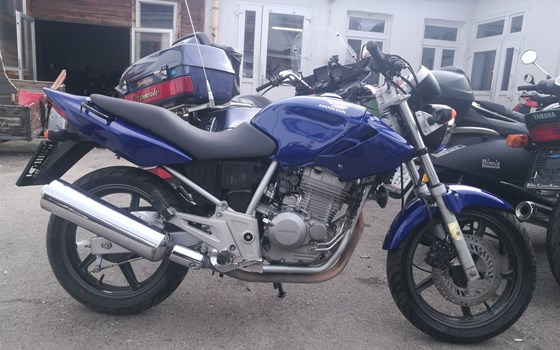 Gebrauchtmotorrad Honda CBF 250 - Bild 1 Gebrauchtmotorrad Honda CBF 250 - Bild 1