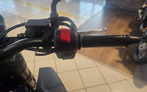 Neufahrzeug Honda CB125R - Bild 7