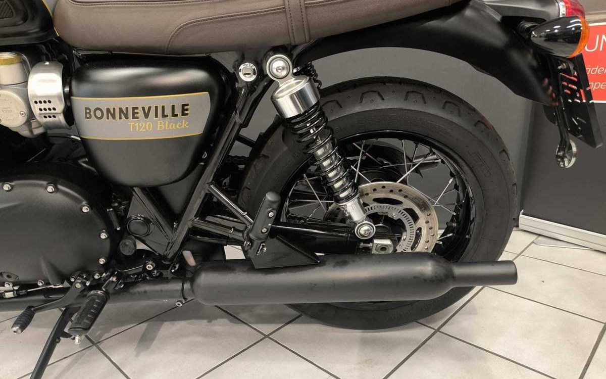 Angebot Triumph Bonneville T120 Black Gold Line