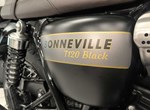 Angebot Triumph Bonneville T120 Black Gold Line