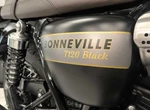 Angebot Triumph Bonneville T120 Black Gold Line