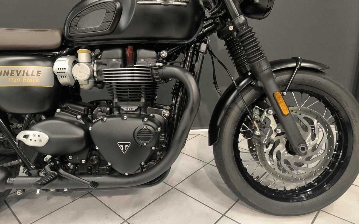 Angebot Triumph Bonneville T120 Black Gold Line
