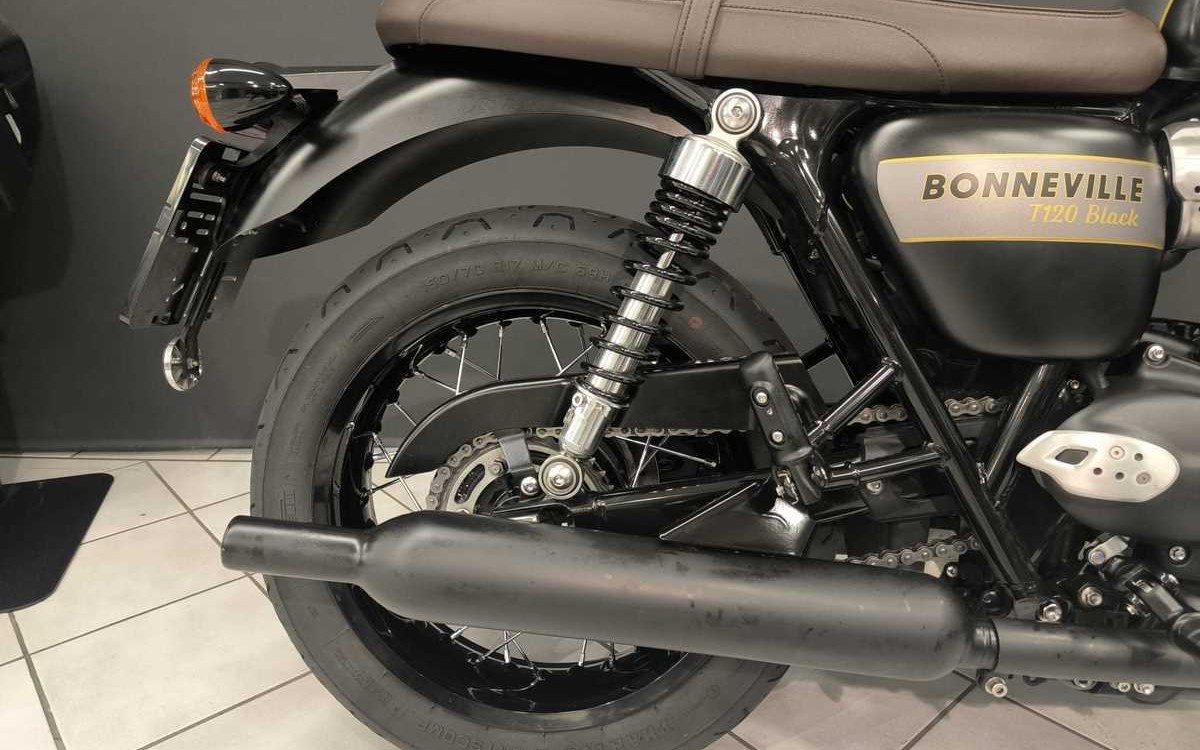 Angebot Triumph Bonneville T120 Black Gold Line