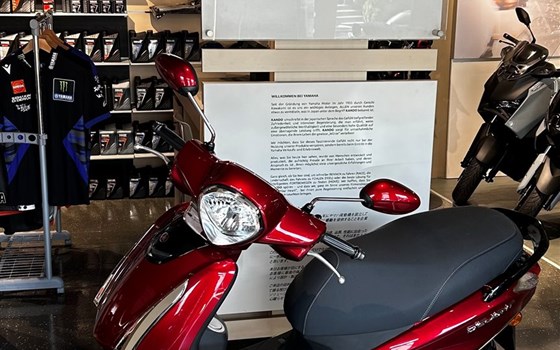 Neufahrzeug Yamaha D'elight - Bild 2