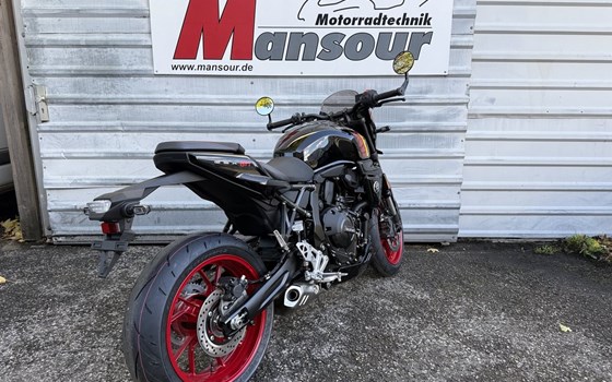 Neufahrzeug Suzuki GSX-8TT - Bild 5