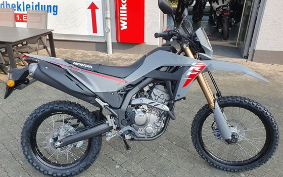Neufahrzeug Honda CRF300L - Bild 2