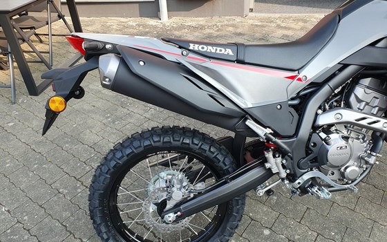 Neufahrzeug Honda CRF300L - Bild 7