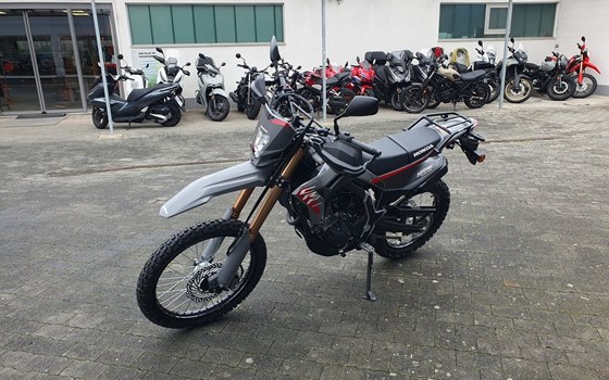 Neufahrzeug Honda CRF300L - Bild 17