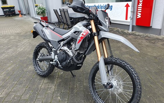 Neufahrzeug Honda CRF300L - Bild 2